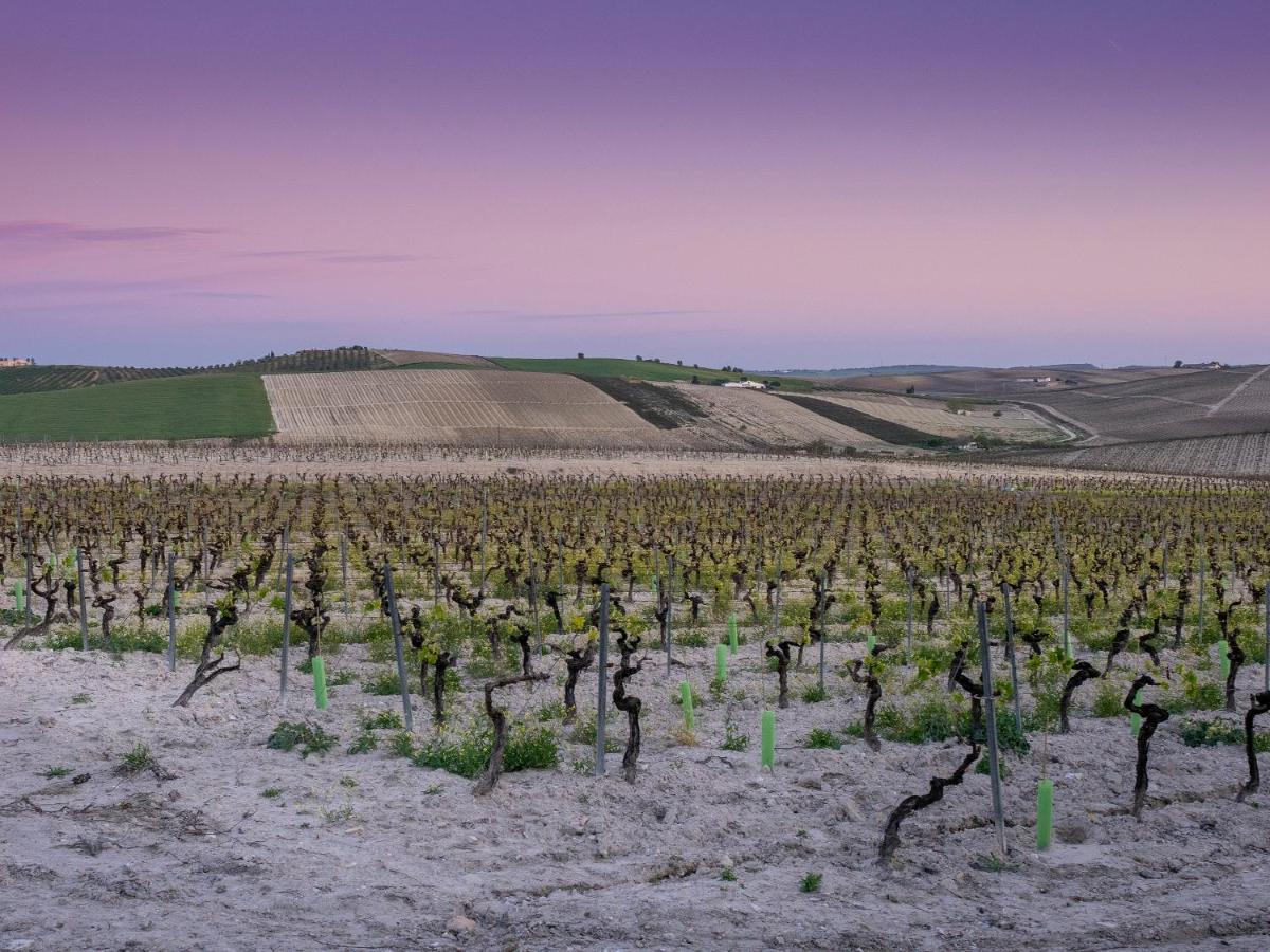 La Ermita Fjhomefj Jerez de la Frontera Eksteriør bilde
